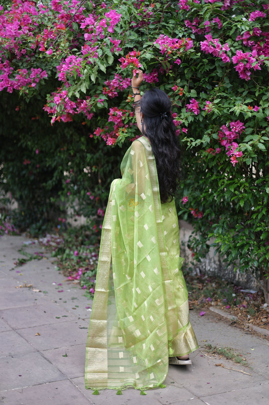 Light green handwoven banarasi organa saree with golden zari weaving