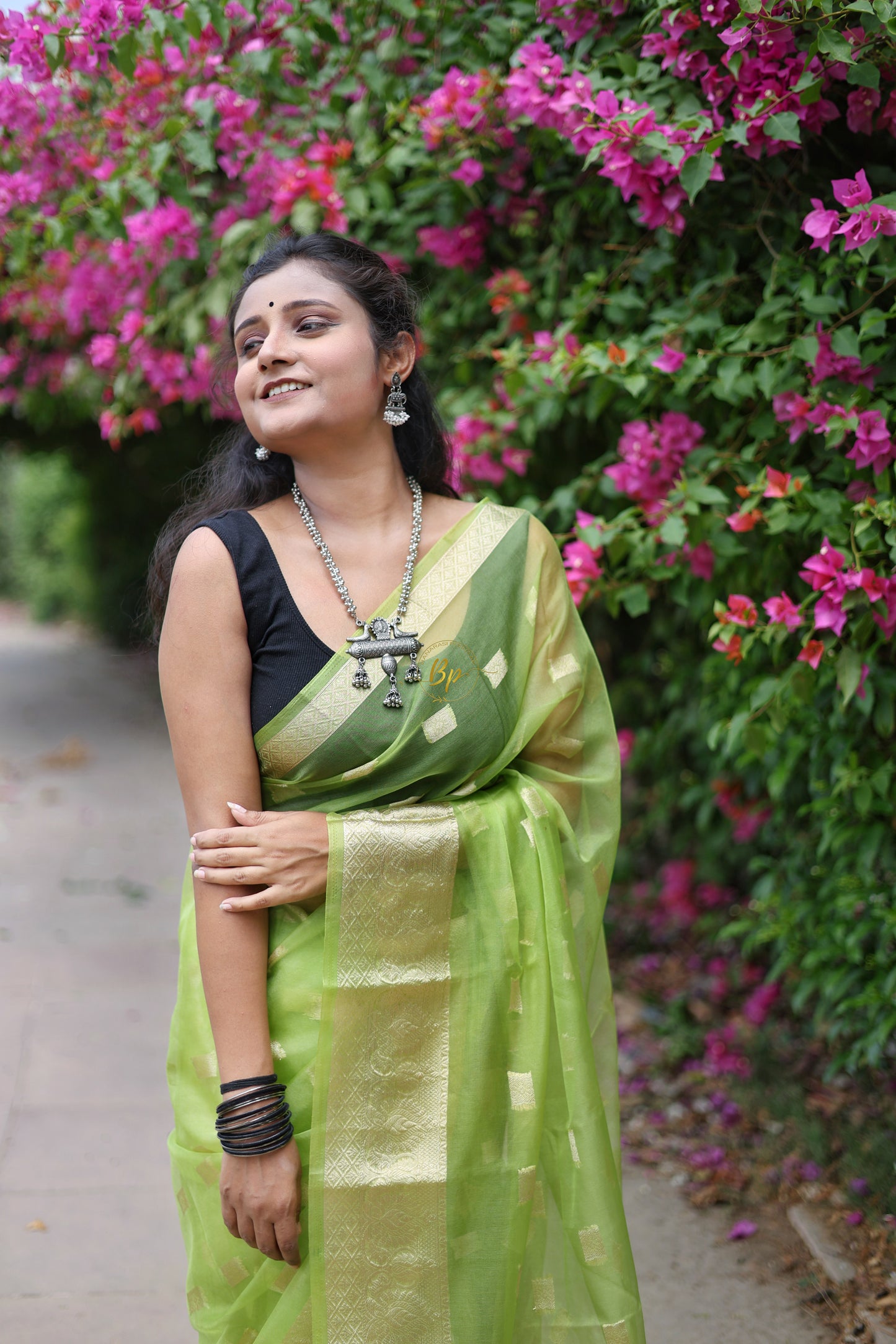 Light green handwoven banarasi organa saree with golden zari weaving