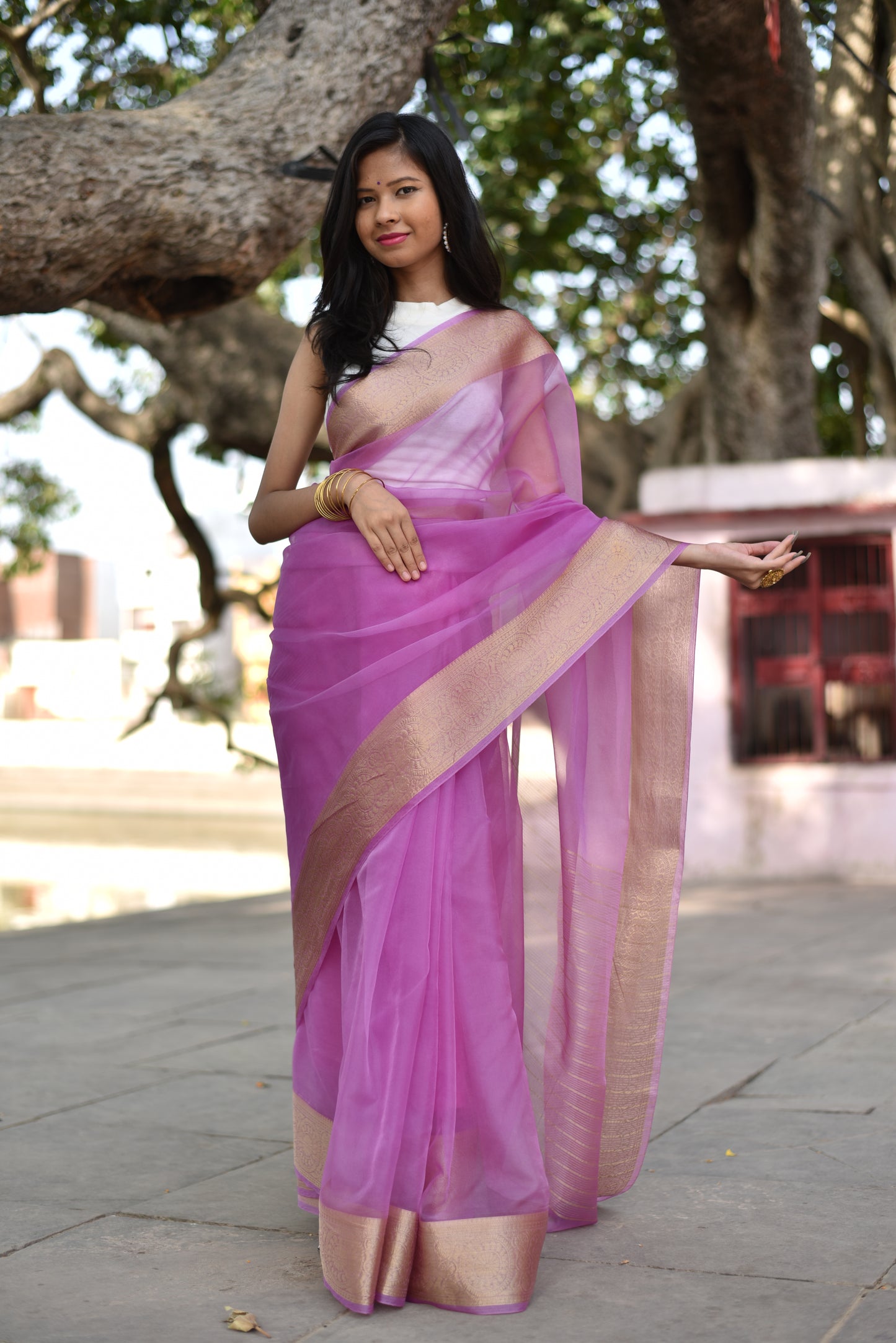 Beautiful banarasi organza saree in lavender shade comes with golden border and pallu