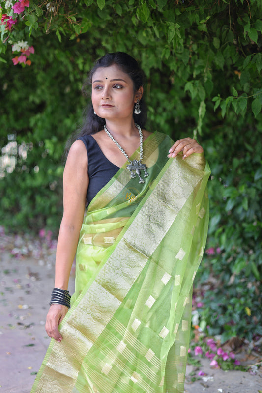 Light green handwoven banarasi organa saree with golden zari weaving
